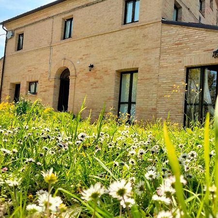 Agriturismo Campo Aperto Belvedere Ostrense Eksteriør billede
