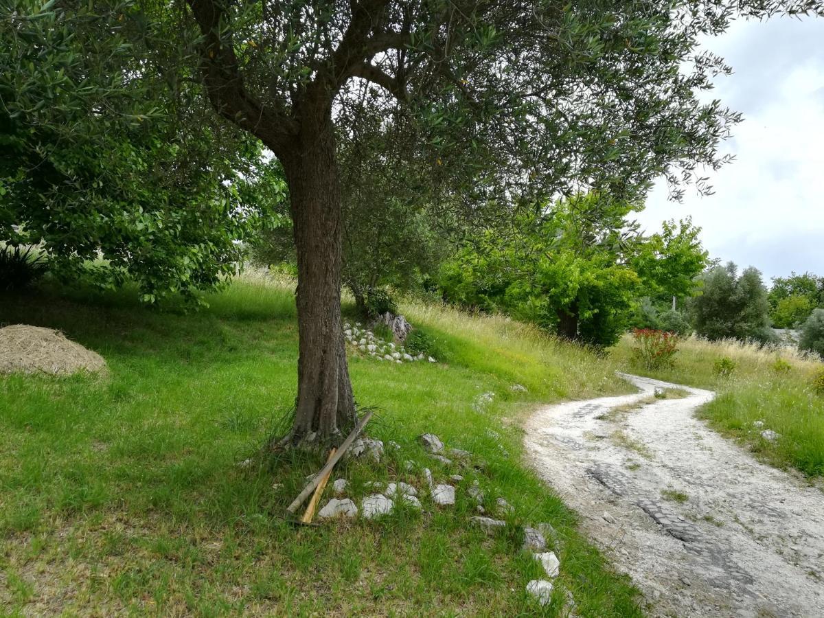 Agriturismo Campo Aperto Belvedere Ostrense Eksteriør billede