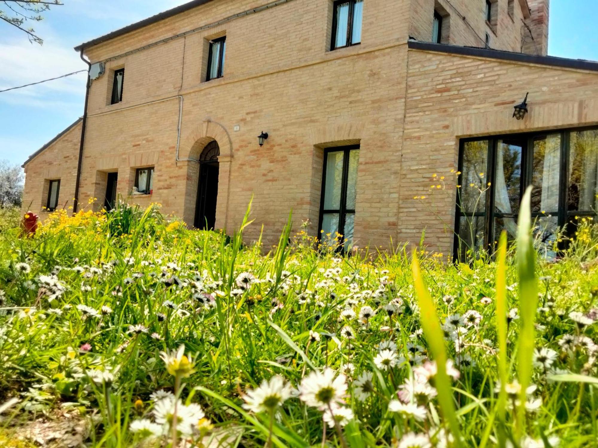 Agriturismo Campo Aperto Belvedere Ostrense Eksteriør billede